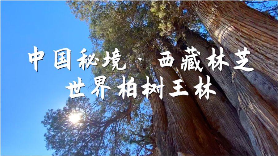 夏末未至