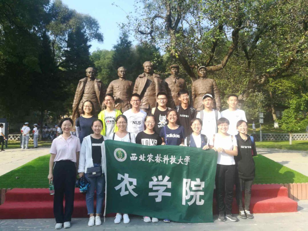 蒸汽时代的公主